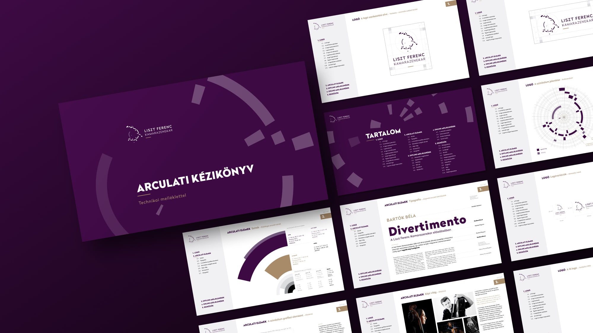 visual identity manual for Franz Liszt Orchestra